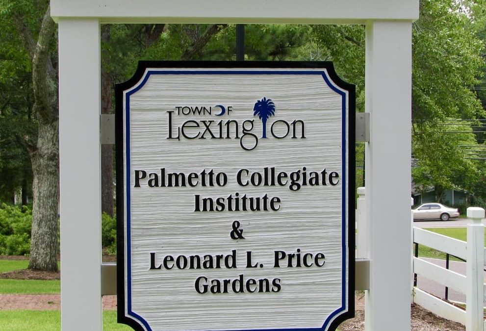 Palmetto Collegiate Institute - Town of Lexington