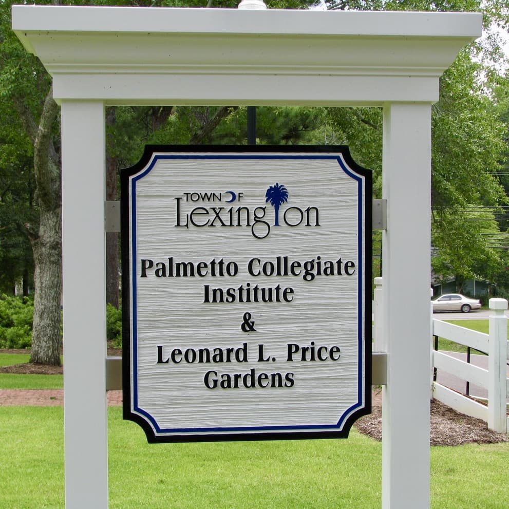 Palmetto Collegiate Institute - Town of Lexington